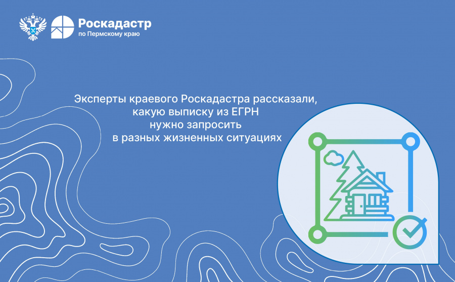 Эксперты краевого Роскадастра рассказали, какую выписку из ЕГРН нужно запросить в разных жизненных ситуациях