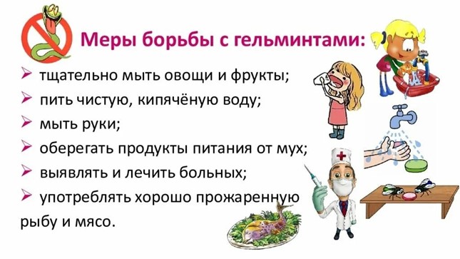 Профилактика гельминтозов