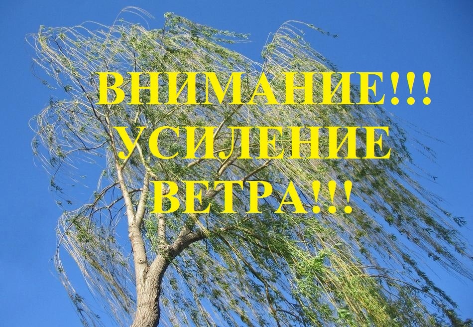 МЧС информирует