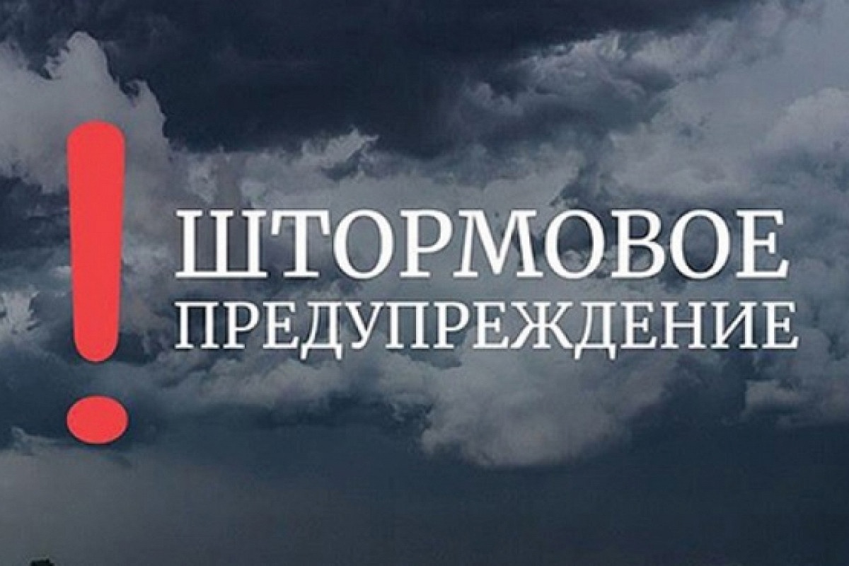 МЧС информирует 11 07 2026 
