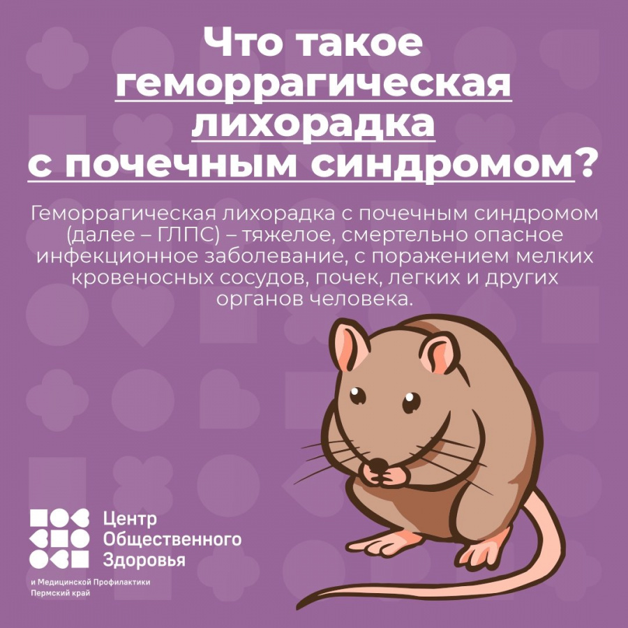 Профилактика ГЛПС Профилактика ГЛПС