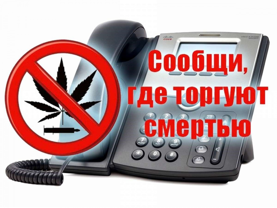 В Пермском крае пройдет второй этап Общероссийской акции «Сообщи, где торгуют смертью» В Пермском крае пройдет второй этап Общероссийской акции «Сообщи, где торгуют смертью»