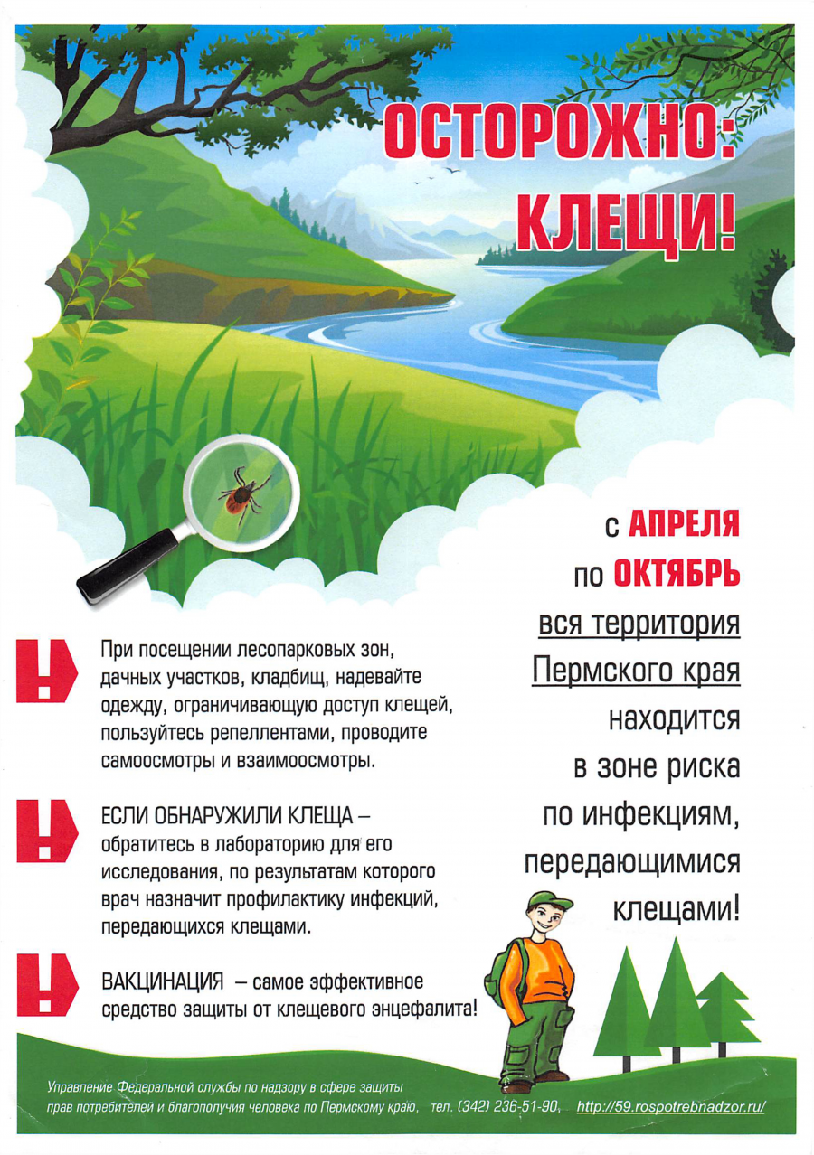 Профилактика клещевых инфекций Профилактика клещевых инфекций