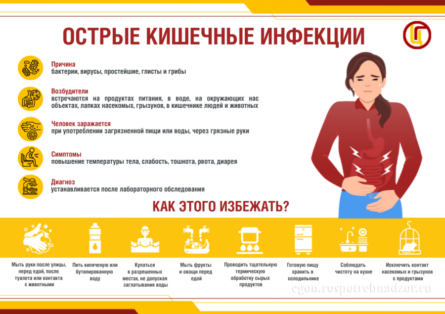 О профилактике острых кишечных инфекций, в том числе сальмонеллеза О профилактике острых кишечных инфекций, в том числе сальмонеллеза