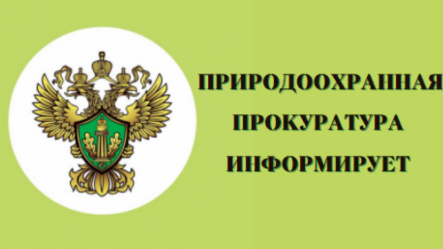 Березниковская природоохранная прокуратура информирует Березниковская природоохранная прокуратура информирует