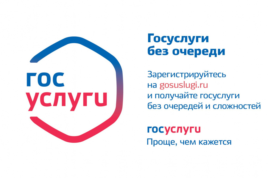 Новости Новости