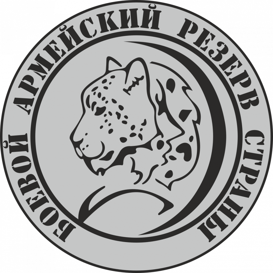 Условия вступления в мобилизационный резерв «БАРС» (боевой армейский резерв страны) и формирования мобильных огневых групп на территории Пермского края