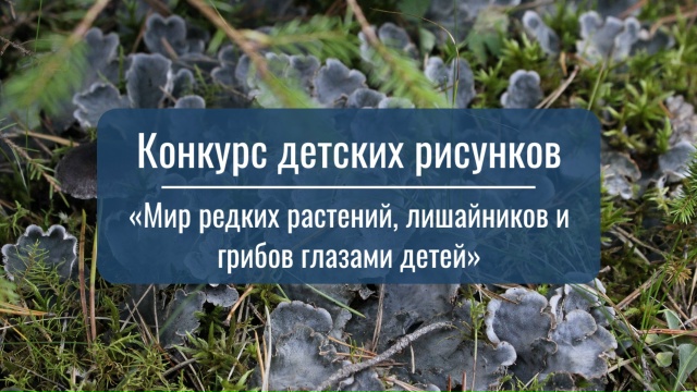 О конкурсе детского рисунка «Мир редких растений, лишайников и грибов глазами детей» О конкурсе детского рисунка «Мир редких растений, лишайников и грибов глазами детей»
