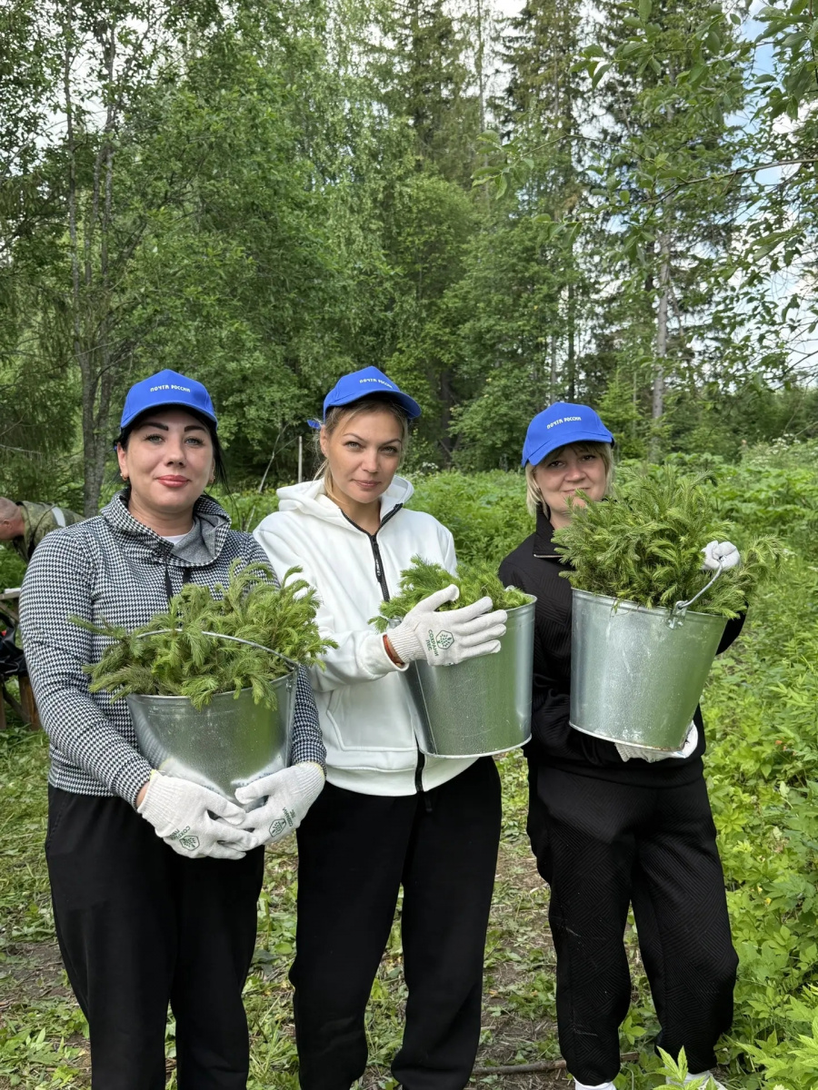 «Почтовый лес» вырос в Пермском крае: рядом с Курашимом высадили 6 000 сеянцев елей