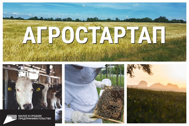 С 3 февраля по 14 февраля 2025 года ФГБОУ ДПО «Татарский институт переподготовки кадров агробизнеса» на бюджетной основе проводит обучение по программе повышения квалификации «Эффективное ведение агробизнеса в условиях малых форм хозяйствования» С 3 февраля по 14 февраля 2025 года ФГБОУ ДПО «Татарский институт переподготовки кадров агробизнеса» на бюджетной основе проводит обучение по программе повышения квалификации «Эффективное ведение агробизнеса в условиях малых форм хозяйствования»