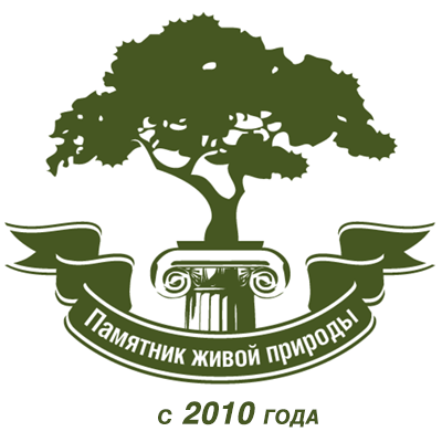 Новости Новости