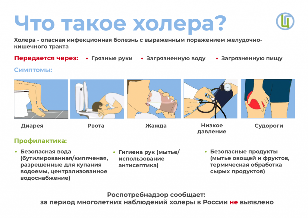 Что такое холера.png Что такое холера.png