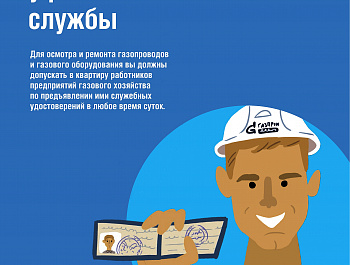О правилах пользования газовыми приборами, установленными в жилых помещениях 