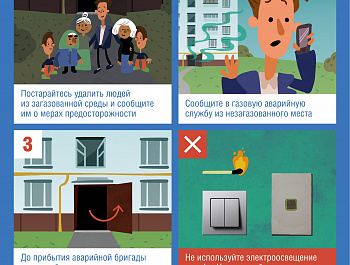 О правилах пользования газовыми приборами, установленными в жилых помещениях 